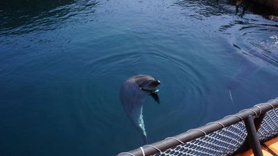 DSC02597_R.JPG