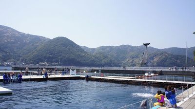 DSC02638_R.JPG